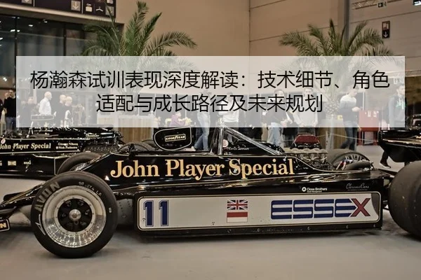 杨瀚森试训表现深度解读：技术细节、角色适配与成长路径及未来规划